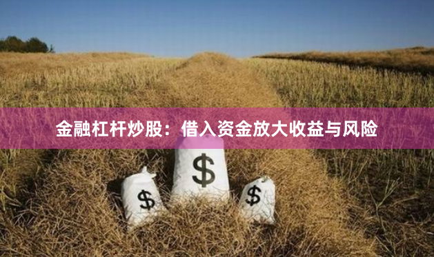 金融杠杆炒股：借入资金放大收益与风险